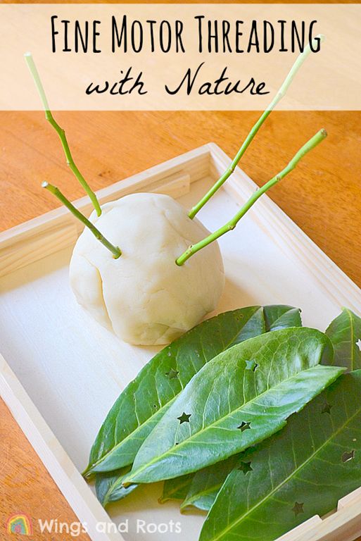 Fine Motor Threading With Nature Wings and Roots