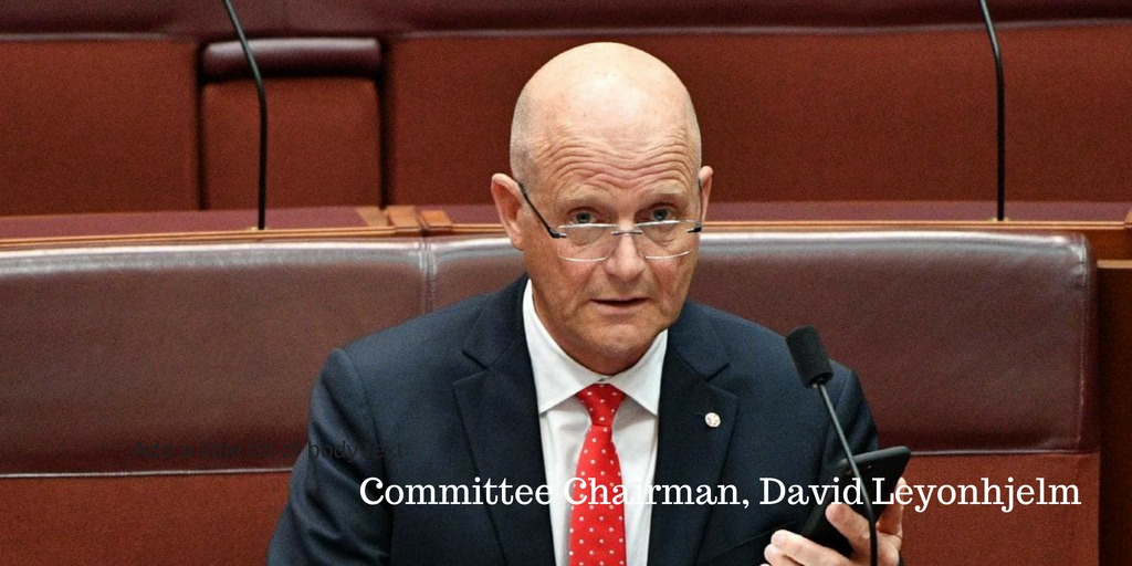 australian senate childcare report