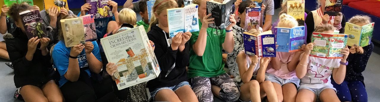 school reporting at kiwitea